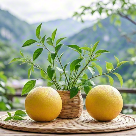 Solution：Early Fatty Liver and Liver Cirrhosis — The “Silent Threat” to Liver Health