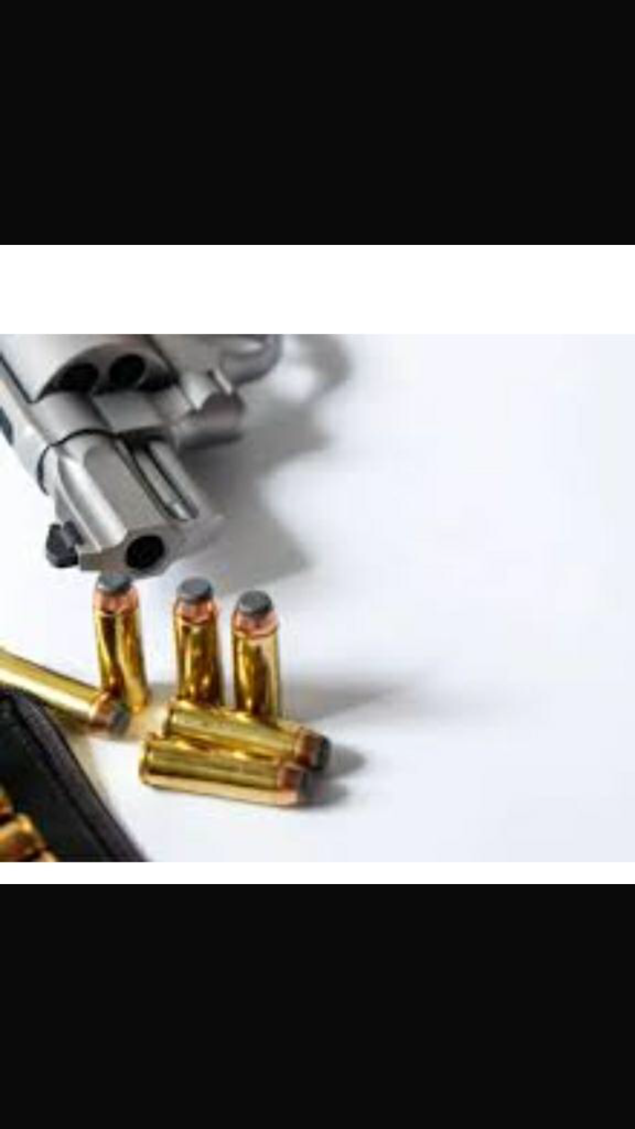 0.44 bullet