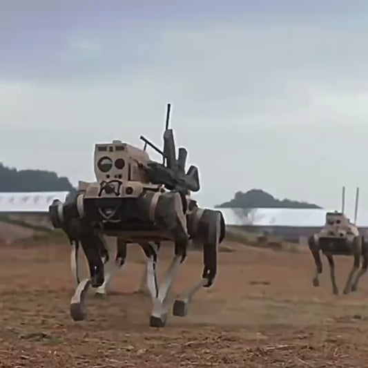 Robot dog